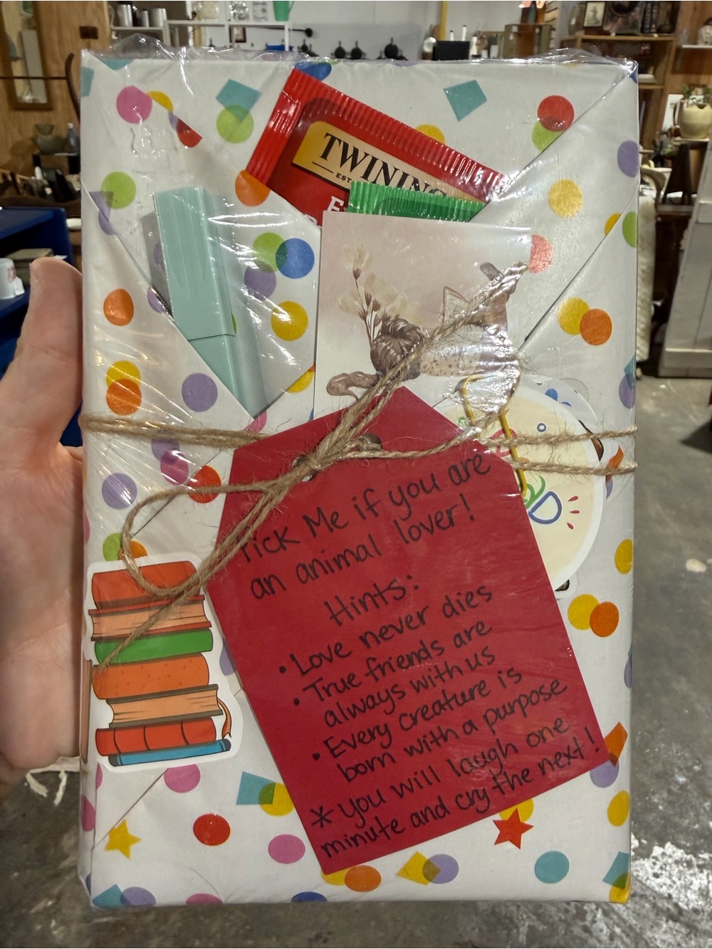 Blind Date with a Book - Contemporary Fiction